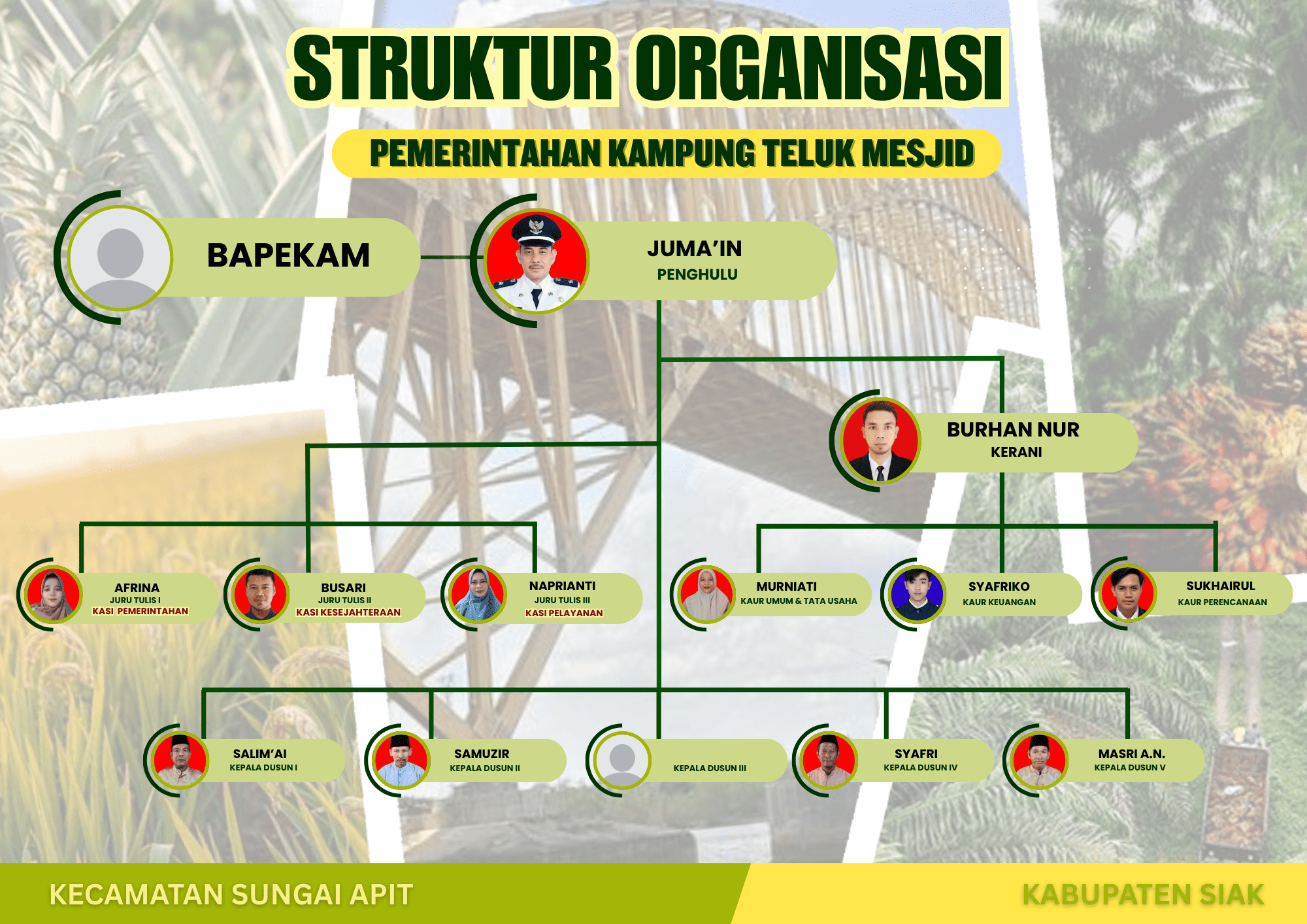 Struktur Organisasi
